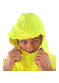 Pulsar P191Jacket collar