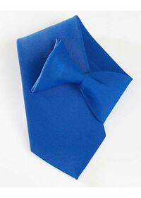 Royal blue clip on tie