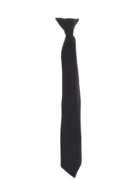 Clip on Tie