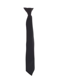 Clip on Tie