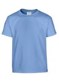 Carolina blue