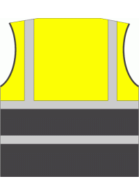 yellow grey rear