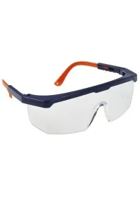 Portwest PS33 Safety Eye Screen Plus Clear