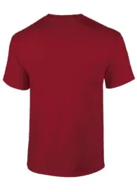 Cardinal Rear
