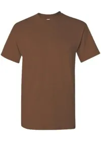 Chestnut Front