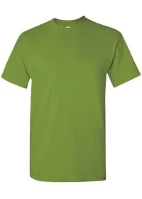 Kiwi Front