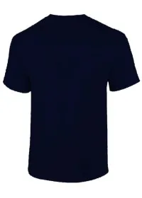 navy rear