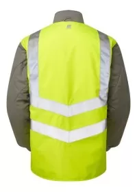 Pulsar P422 rear view