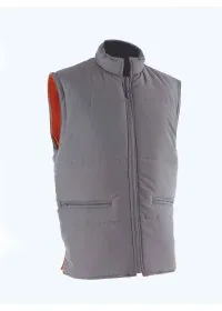 Pulsarail PR498 Image 5