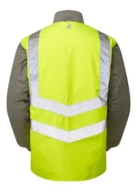 Pulsar P422 rear view