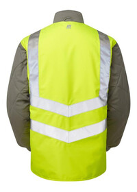 Pulsar P422 rear view