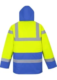 S466  Yellow/Blue Rear