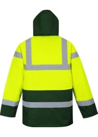 S466 Yellow/Green Rear