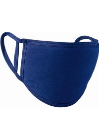 PR799 Navy Face Mask