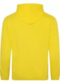 Embroidered College Hoodie Awdis JH001