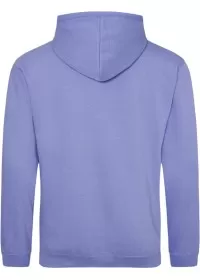 Embroidered College Hoodie Awdis JH001