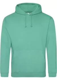 Embroidered College Hoodie Awdis JH001