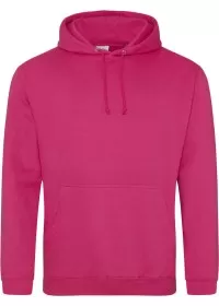 Embroidered College Hoodie Awdis JH001