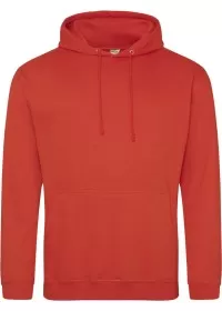 Embroidered College Hoodie Awdis JH001