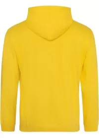 Embroidered College Hoodie Awdis JH001