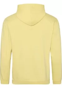 Embroidered College Hoodie Awdis JH001