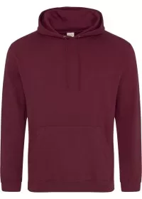 Embroidered College Hoodie Awdis JH001