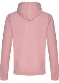 Embroidered College Hoodie Awdis JH001