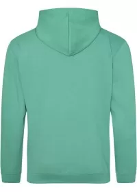 Embroidered College Hoodie Awdis JH001