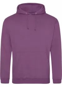 Embroidered College Hoodie Awdis JH001