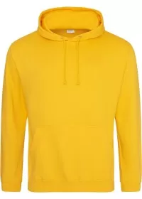 Embroidered College Hoodie Awdis JH001