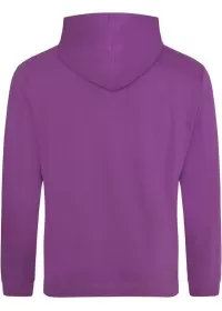 Embroidered College Hoodie Awdis JH001