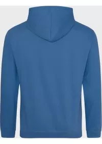 Embroidered College Hoodie Awdis JH001