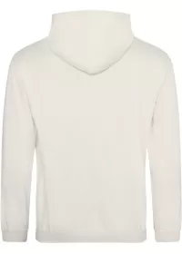 Embroidered College Hoodie Awdis JH001