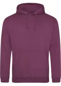 Embroidered College Hoodie Awdis JH001