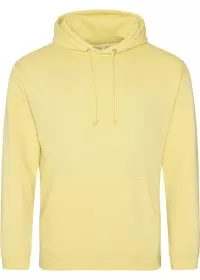 Embroidered College Hoodie Awdis JH001