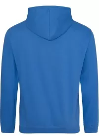 Embroidered College Hoodie Awdis JH001