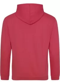 Embroidered College Hoodie Awdis JH001