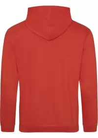 Embroidered College Hoodie Awdis JH001