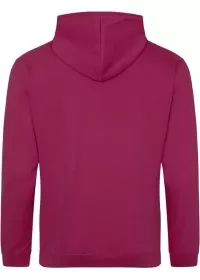 Embroidered College Hoodie Awdis JH001