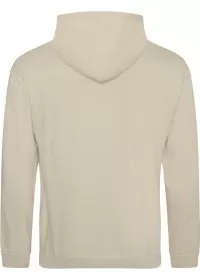 Embroidered College Hoodie Awdis JH001