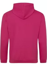 Embroidered College Hoodie Awdis JH001