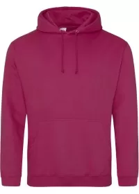 Embroidered College Hoodie Awdis JH001