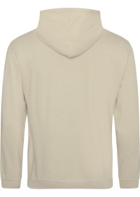 Embroidered College Hoodie Awdis JH001