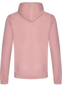 Embroidered College Hoodie Awdis JH001