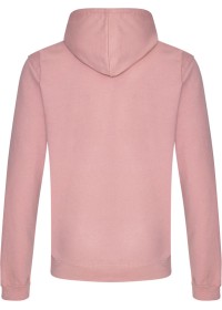 Embroidered College Hoodie Awdis JH001