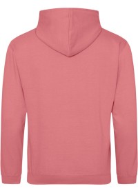 Embroidered College Hoodie Awdis JH001