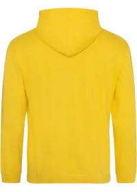 Embroidered College Hoodie Awdis JH001