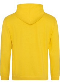 Embroidered College Hoodie Awdis JH001