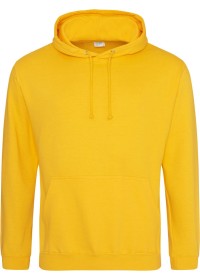 Embroidered College Hoodie Awdis JH001