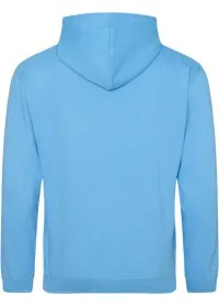 Embroidered College Hoodie Awdis JH001